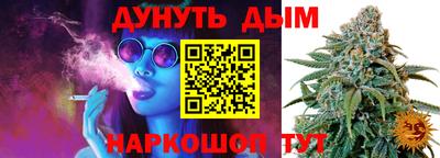 крисы Лесосибирск